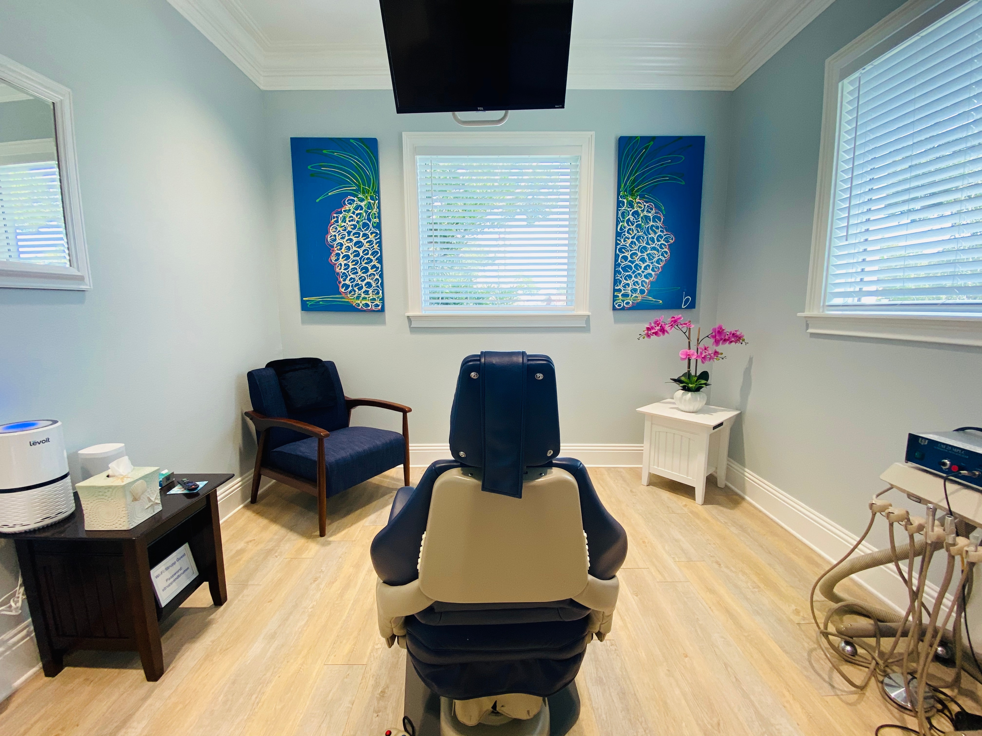 Private treatment suite at Strupp & Brumm — full-sized closed-door room with natural Gulf Coast light, Clearwater, FL